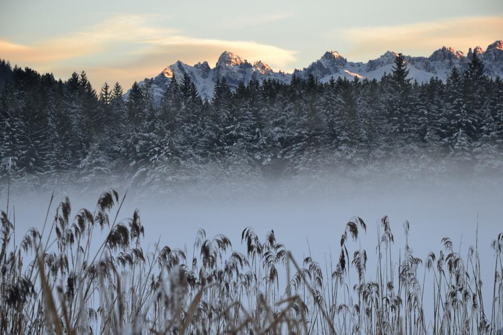 Landhaus Am Golfplatz Seefeld in Tirol Exteriér fotografie